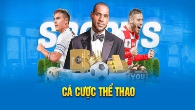 Khuyến mãi 8XBET hoàn trả 1,2%, đua top nhận thưởng 15 triệu