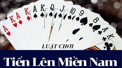 Tiến Lên Miền Nam – Game Bài Đấu Trí Cực Cuốn, Thưởng Cực Đã